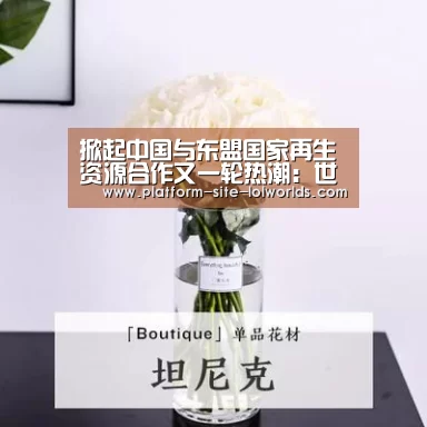 掀起中国与东盟国家再生资源合作又一轮热潮:世界赛官网(图2) 全球总决赛官网