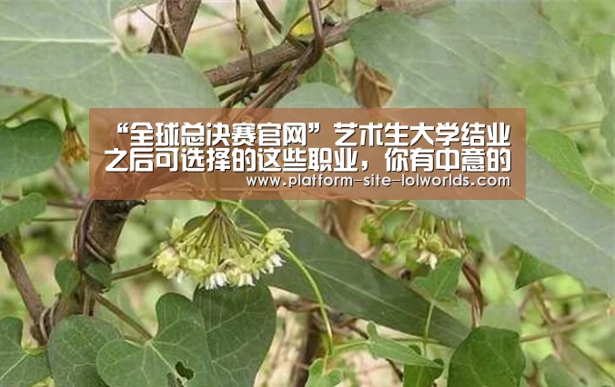 “全球总决赛官网”艺术生大学结业之后可选择的这些职业,你有中意的吗?(图1) 世界赛官网